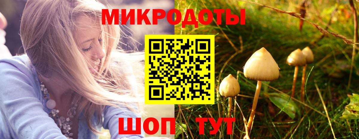 Галлюциногенные грибы MAGIC MUSHROOMS  где купить наркоту  Лесной  Псилоцибиновые грибы мицелий  Вход с VPN 