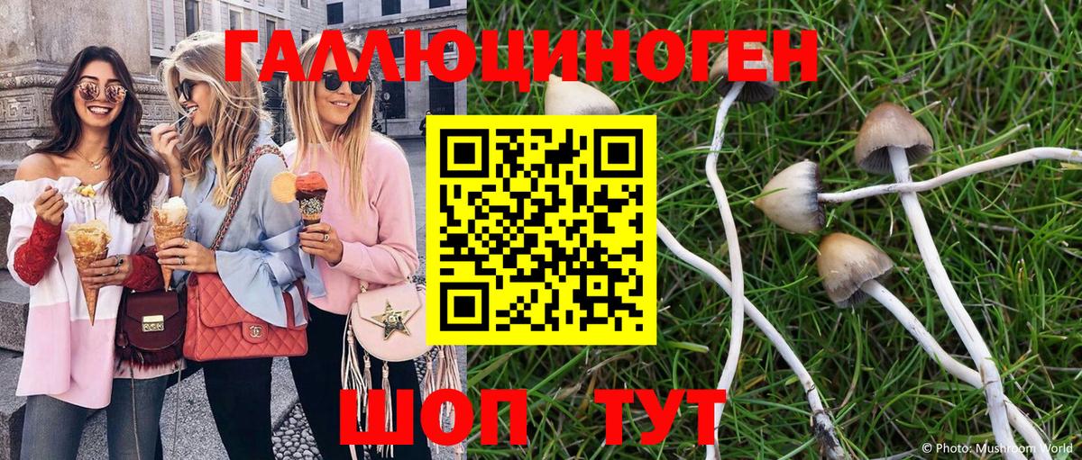 Галлюциногенные грибы ЛСД Лесной